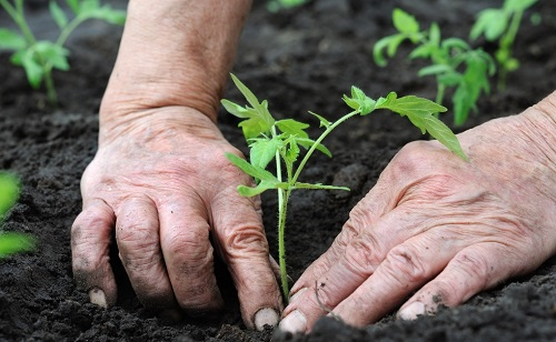 1672900163158833.png image.png